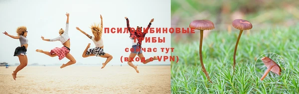 ПСИЛОЦИБИНОВЫЕ ГРИБЫ Алзамай