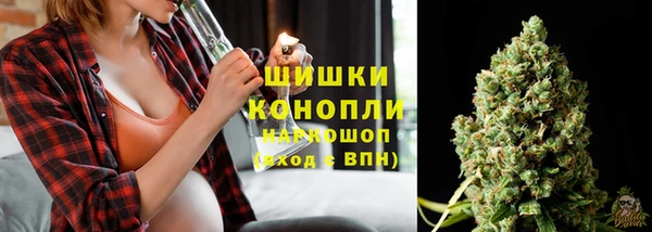 ПСИЛОЦИБИНОВЫЕ ГРИБЫ Алзамай