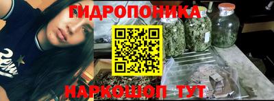 мдма Кингисепп