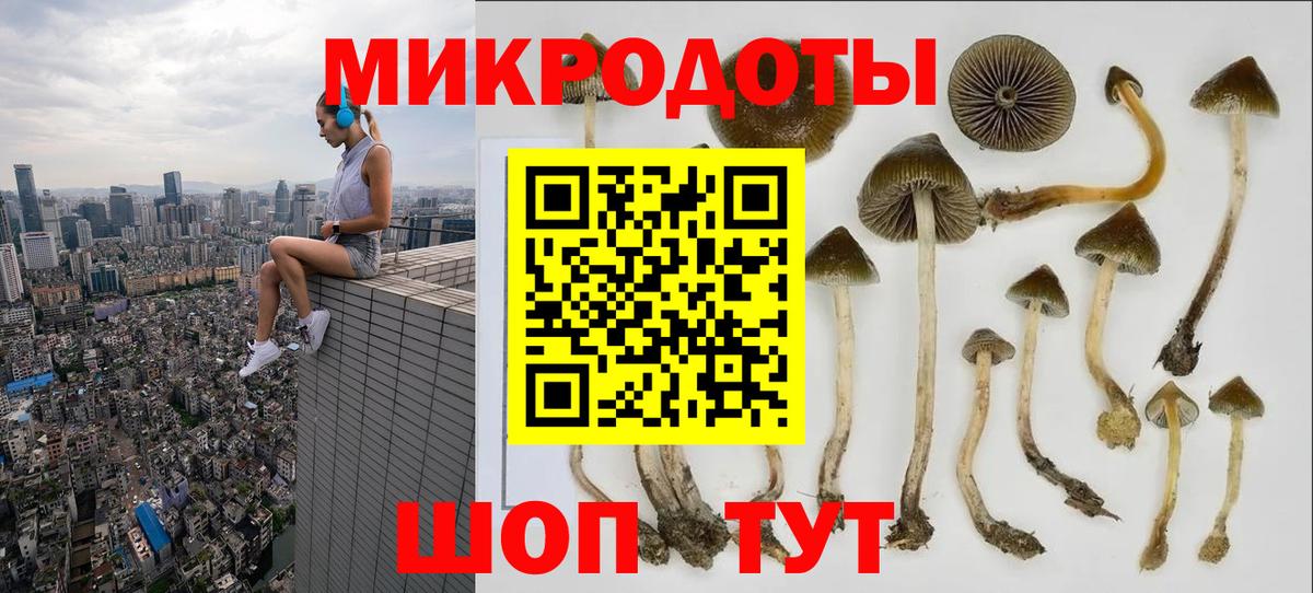 Псилоцибиновые грибы GOLDEN TEACHER Кропоткин