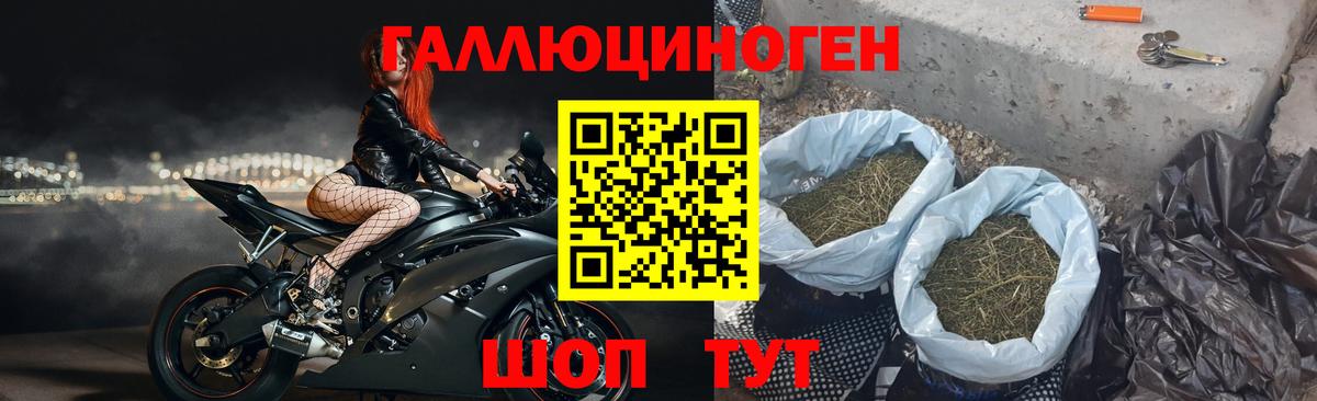 Галлюциногенные грибы Psilocybine cubensis  Вход с VPN  Псилоцибиновые грибы MAGIC MUSHROOMS  Кропоткин 